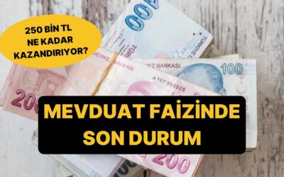 Mevduat Faizlerinde Son Durum: 250 Bin TL&apos;nin Aylık Getirisi Belli Oldu!