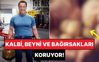 Fındık, Fıstık Yanında Halt Etmiş: Ömrümüzü Uzatan En Faydalı Kuruyemiş Belli Oldu