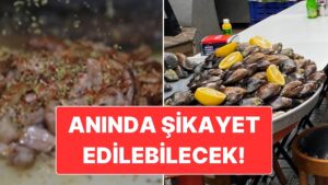 Bakanlık Yeni Uygulama Yapacak: Vatandaş Gıda Konusundaki Şikayetlerini Anında İletebilecek