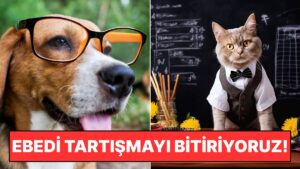 Yılların Tartışmasına Son Noktayı Koyuyoruz: Kediler mi, Köpekler mi Daha Zeki?