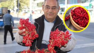 &quot;Gençlik İksiri&quot; Olarak Bilinen O Meyve Artık Tezgahlarda: Farklı Şekillerde Tüketilebiliyor