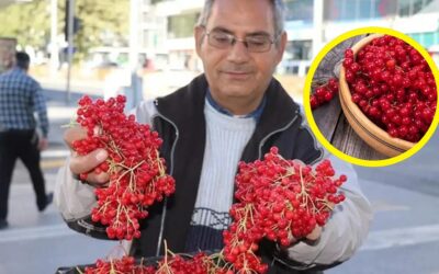 &quot;Gençlik İksiri&quot; Olarak Bilinen O Meyve Artık Tezgahlarda: Farklı Şekillerde Tüketilebiliyor