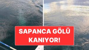 Sapanca Gölü Kaynıyor: Gölde Su Seviyesi Hızla Düşüyor!