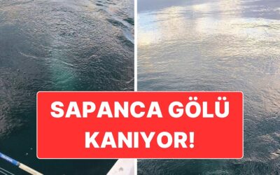 Sapanca Gölü Kaynıyor: Gölde Su Seviyesi Hızla Düşüyor!
