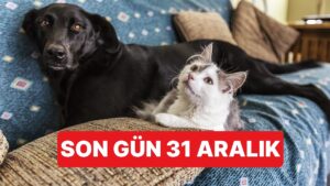 Evcil Hayvan Sahipleri İçin Son Uyarı: 31 Aralık Son Tarih