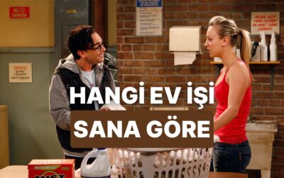 Karakterine Göre Hangi Ev İşi Tam Senlik?