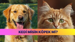 Evet/Hayır Testiyle Köpek İnsanı mı Kedi İnsanı mı Olduğunuzu Öğrenin!