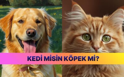 Evet/Hayır Testiyle Köpek İnsanı mı Kedi İnsanı mı Olduğunuzu Öğrenin!