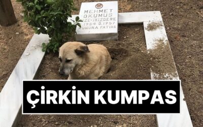 Şehit Mezarına Çirkin Kumpas: Yapay Zekayla Yaptıkları Fotoğrafı Paylaştılar