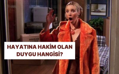 Bu Aralar Hayatına Hakim Olan Duygu Hangisi?