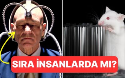 Sıra Bize mi Geliyor? Bilim İnsanları Farelerin Zihinlerini Okuyabildiklerini Söylüyor