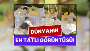 Nasıl Güzeldir! İtalya&apos;da Kuş Sesleri İçinde Öğle Uykusu Yapan Minik Anaokulu Öğrencilerini Kıskanacaksınız