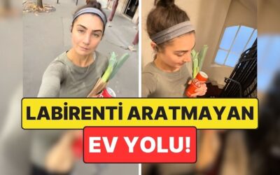 Paris’te Yaşayan Bir Kadının Evine Gitmek İçin Verdiği Mücadele Viral Oldu!