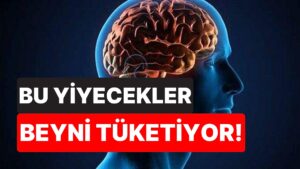 Beyin Sağlığına En Çok Zarar Veren Gıdalar Açıklandı