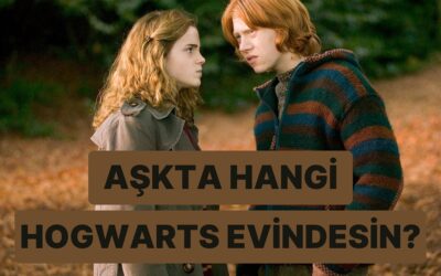 İlişkideki Tavrına Göre Hangi Hogwarts Binasına Aitsin?