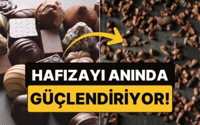 Müjde! Bir Çikolata Türünün Hafızayı Anında Güçlendirdiği Ortaya Çıktı