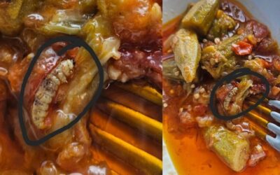 Devlet Hastanesi Yemekhanesinde İğrenç Görüntü: Yemekten Kurt Çıktı!