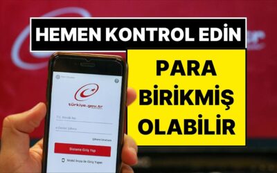 e-Devlet’inizde Para Birikmiş Olabilir! Paranızı Çekmeyi Unutursanız Devlete İade Edilecek