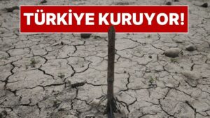 Türkiye&apos;de Büyük Kuraklık Tehlikesi: Barajlarda Doluluk Oranları Alarm Veriyor! Susuzluk Başladı