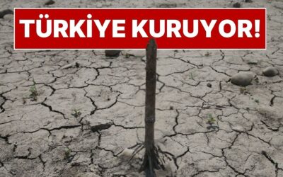 Türkiye&apos;de Büyük Kuraklık Tehlikesi: Barajlarda Doluluk Oranları Alarm Veriyor! Susuzluk Başladı