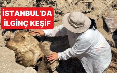 İstanbul Avcılar&apos;daki Kazılarda Bulunan Keşifler Heyecan Yarattı
