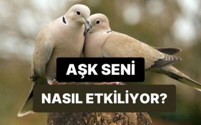 Aşk Sana Ne Kadar Yakışıyor?