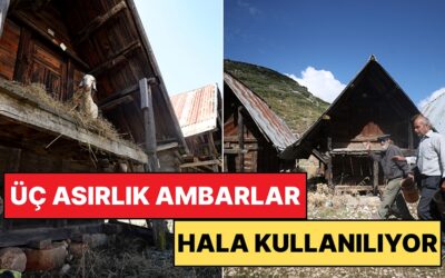 Geçmişten Günümüze Üç Asırlık Miras: Likya Lahitlerinden İlham Alan Ambarlarda Yaşayan Köylüler