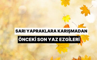 Sarı Yapraklara Karışmadan Önceki Son Yaz Ezgileri