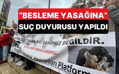 &quot;Besleme Yasağı&quot; Sonrası 150 Avukat İstanbul Valiliğiyle İlgili Suç Duyurusunda Bulundu