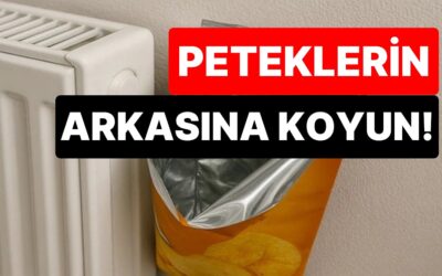 Boş Cips Poşetlerini Çöpe Atmayın: Peteklerin Arkasına Koyunca Mucizeler Yaratıyor