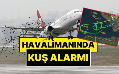 Sabiha Gökçen Havalimanı’nda Kuş Alarmı! Uçaklar Pisti Pas Geçti, Havada Tur Attı