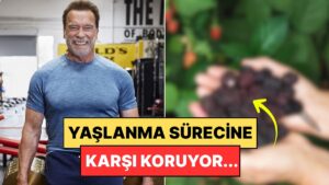 Gençlik İksiri Bu Besinlerde Bulundu: Üç Kaşıkta Kalp Damar Sağlığını Koruyor!