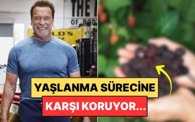 Gençlik İksiri Bu Besinlerde Bulundu: Üç Kaşıkta Kalp Damar Sağlığını Koruyor!