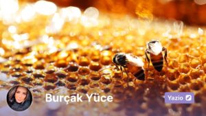 Bal ve Arı Mucizesi