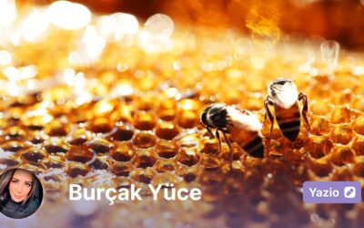 Bal ve Arı Mucizesi