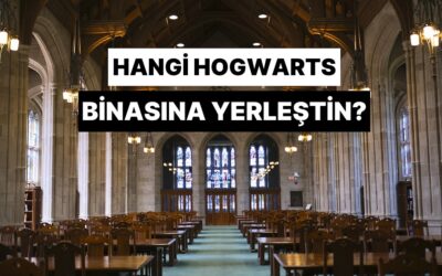 Finansal Kararlarına Göre Hangi Hogwarts Binasına Yerleşirdin?