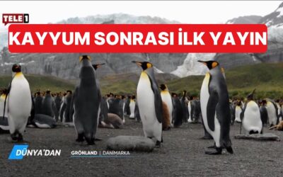 TELE1'e Kayyum Atandıktan Sonra İlk Yayın Penguen Belgeseli Oldu