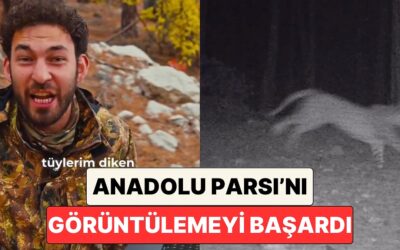 Kurduğu Fotokapan ile Anadolu Parsını Görüntülemeyi Başaran Youtuber Doğanay Vural Yaşadığı Sevinci Paylaştı
