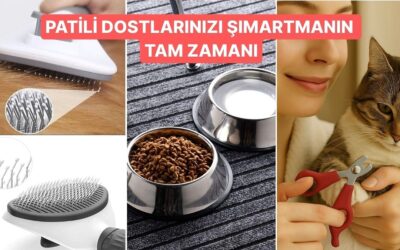 Evcil Dostlarınız İçin Hem Sizi Hem Onları Mutlu Edecek İndirimler