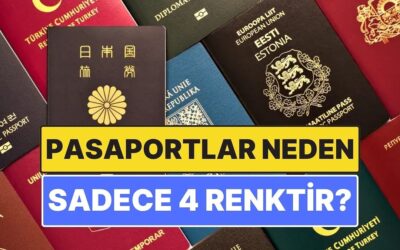 Pasaportlar Neden Sadece Dört Renktir?