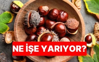 Ukraynalıların Yüzyıllardır Sürdürdüğü Gelenek Ortaya Çıktı: Sonbaharda Dolaplara Kestane Koymalarının Nedeni