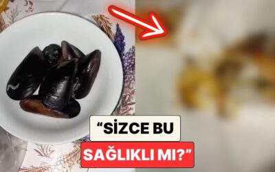Midye Sevenleri Düşündürecek Görüntü: Bir Vatandaş Aldığı Hijyen Seviyesini Bir Peçete ile Gösterdi