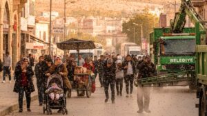 Türkiye&apos;de Sinek İstilası Var! Havadan Kar Değil &apos;Bit&apos; Yağıyor: