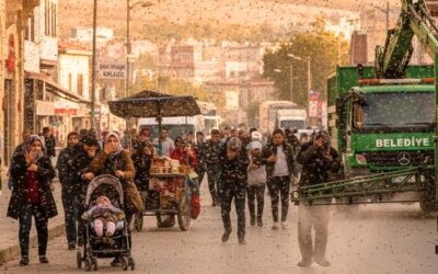Türkiye'de Sinek İstilası Var! Havadan Kar Değil 'Bit' Yağıyor: