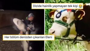 Taşacak Bu Deniz'i Mizahına Alet Ederek Hepimizi Güldüren Goygoyseverler
