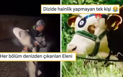 Taşacak Bu Deniz'i Mizahına Alet Ederek Hepimizi Güldüren Goygoyseverler