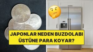 Japonlar Neden Buzdolaplarının Üstüne Madeni Para Koyar?
