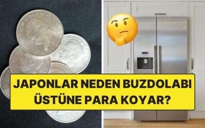 Japonlar Neden Buzdolaplarının Üstüne Madeni Para Koyar?