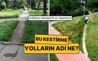 Desire Path (Arzu Patikası) Nedir? İnsanların Plansızca Belirlediği Kestirme Yolların Ardındaki Anlam