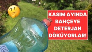 İngilizler Neden Kasım Ayında Bahçelerine Deterjan Döker?
